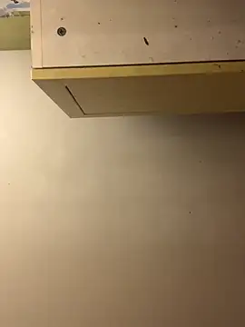 Snapshot of chtentation chatting on 15, 12, 2025 chtentation online show from 15, 12, 2025