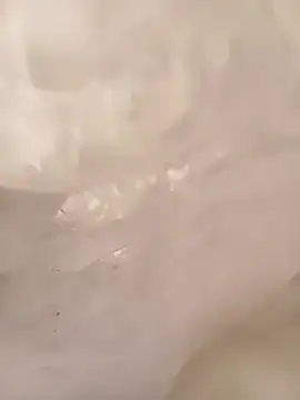 ruiiizz online show from 9, 3, 2026