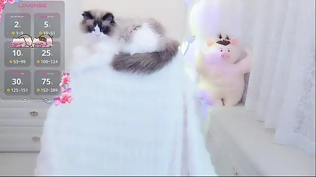 Snapshot of Coco-Di chatting on 9, 5, 2026 Coco-Di online show from 9, 5, 2026