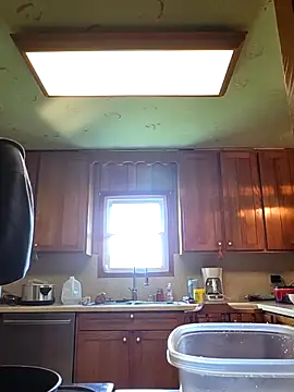 bear8t online show from 20, 4, 2026