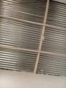 Snapshot of kingbickcockDn chatting on 23, 11, 2025 kingbickcockDn online show from 23, 11, 2025