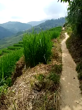 Snapshot of nhinhi-sexy chatting on 10, 10, 2025 nhinhi-sexy online show from 10, 10, 2025