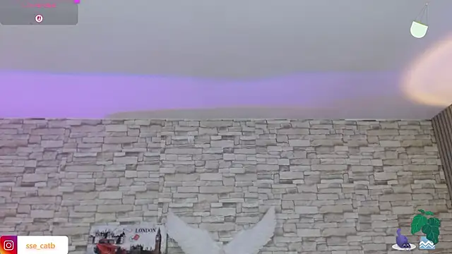 casse tay online show from 9, 2, 2026