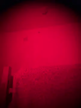 bellacagyal online show from 2, 2, 2026