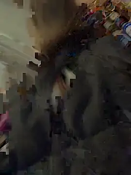 Snapshot of silentasachurchmouse chatting on 3, 12, 2025 silentasachurchmouse online show from 3, 12, 2025