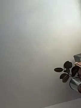 UnitedMap1 online show from 20, 11, 2025