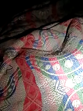 jerry 03467 online show from 19, 3, 2026