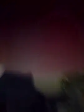 Curious9884 online show from 11, 1, 2026