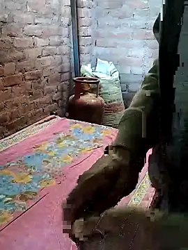 Rani 089 online show from 13, 11, 2025