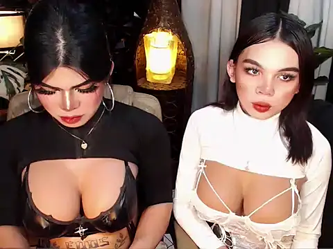 TWINKTRANSSHANEL online show from 7, 11, 2025