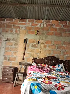 Snapshot of lady_and_charly chatting on 29, 11, 2025 lady and charly online show from 29, 11, 2025