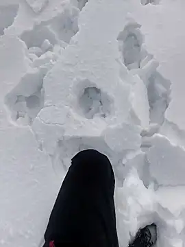 Sert erkek21 ysm online show from 6, 1, 2026