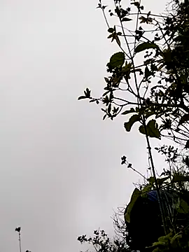 sumaybae online show from 5, 11, 2025