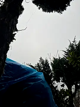 miomio-12 online show from 2, 11, 2025