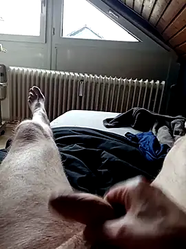 Snapshot of ImperlPerverso59 chatting on 7, 10, 2025 ImperlPerverso59 online show from 7, 10, 2025