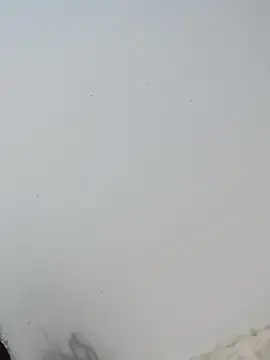 Snapshot of _Bella_Beth_ chatting on 2, 12, 2025 Bella Beth online show from 2, 12, 2025