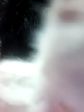 anjali2351 online show from 10, 2, 2026