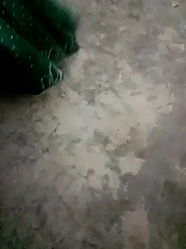 Miya sistar online show from 7, 10, 2025