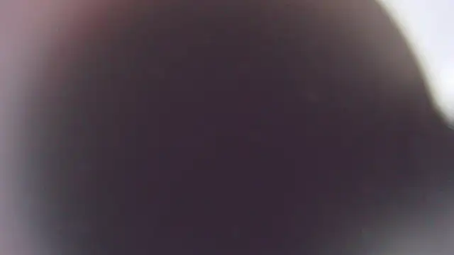 Snapshot of Stefano_Calle chatting on 3, 12, 2025 Stefano Calle online show from 3, 12, 2025