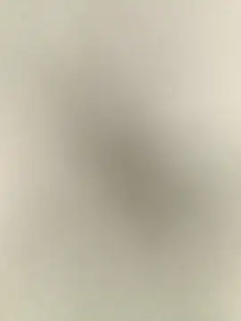 Snapshot of Anchal-8798 chatting on 17, 12, 2025 Anchal-8798 online show from 17, 12, 2025