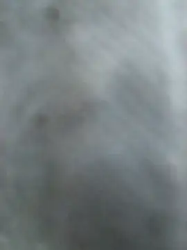 Snapshot of Hottypriya69 chatting on 2, 11, 2025 Hottypriya69 online show from 2, 11, 2025