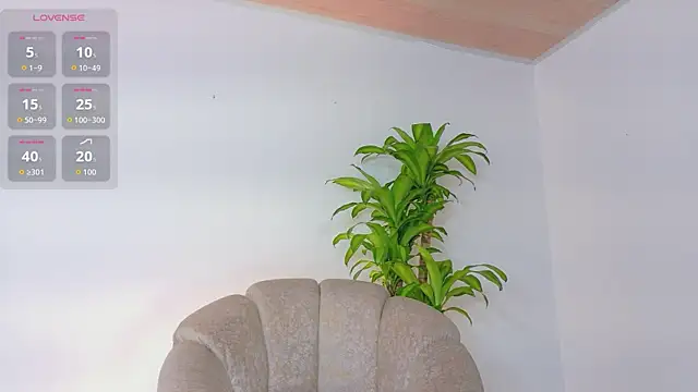 Snapshot of Axel_Cody_ chatting on 25, 5, 2026 Axel Cody online show from 25, 5, 2026