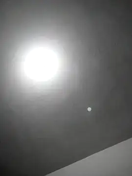 checheludo23 online show from 25, 2, 2026