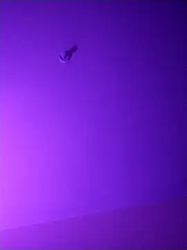 checheludo23 online show from 16, 4, 2026