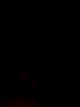 ShavenScope24 online show from 1, 12, 2025