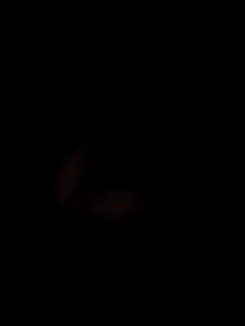 Vickyins480000 online show from 16, 4, 2026