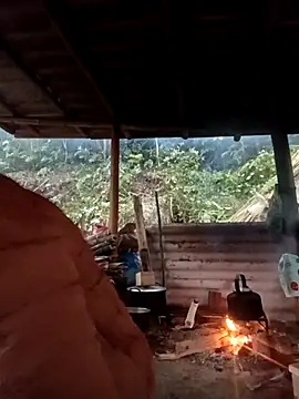 -Kem-01 online show from 11, 3, 2026