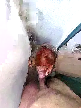 Snapshot of PorcelainDoll1 chatting on 14, 1, 2026 PorcelainDoll1 online show from 14, 1, 2026