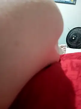 Taradinha pelosogro online show from 23, 3, 2026