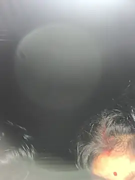 Snapshot of Ragni_bhargav chatting on 19, 1, 2026 Ragni bhargav online show from 19, 1, 2026