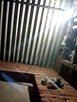 M-MAYA online show from 19, 2, 2026