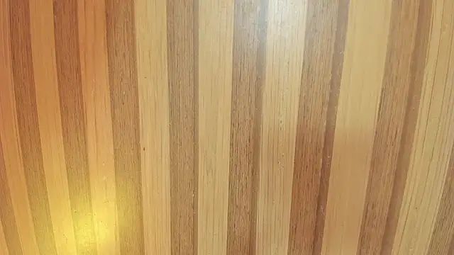 Snapshot of mia__blaze__ chatting on 6, 2, 2026 mia blaze online show from 6, 2, 2026