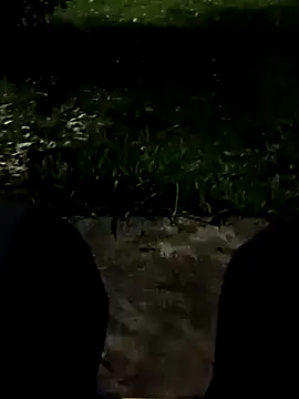 roludao fun online show from 11, 11, 2025