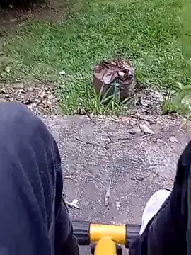 roludao fun online show from 20, 2, 2026