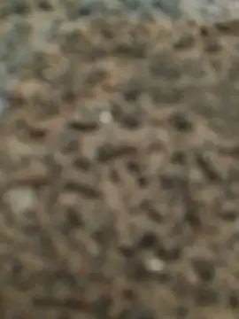 Snapshot of Orlao25cm chatting on 12, 11, 2025 Orlao25cm online show from 12, 11, 2025