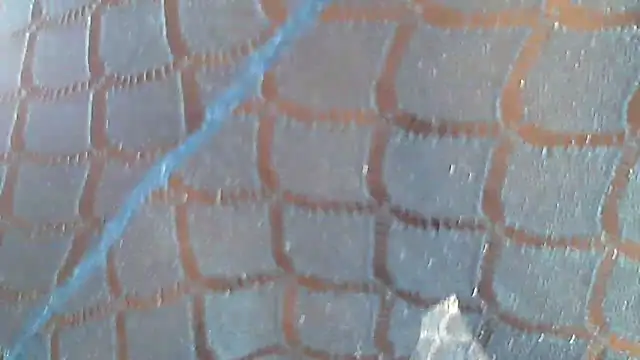 Hotcougar online show from 8, 3, 2026