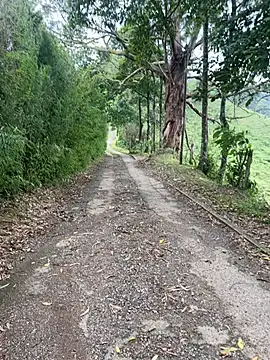 motomotoboy online show from 5, 3, 2026