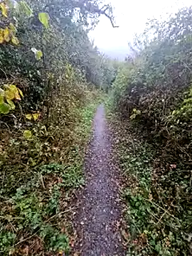 Snapshot of bbyxklaus chatting on 20, 10, 2025 bbyxklaus online show from 20, 10, 2025