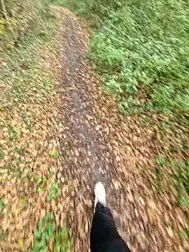 Snapshot of bbyxklaus chatting on 6, 11, 2025 bbyxklaus online show from 6, 11, 2025