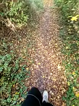 Snapshot of bbyxklaus chatting on 9, 11, 2025 bbyxklaus online show from 9, 11, 2025