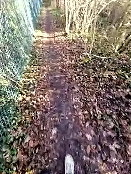 Snapshot of bbyxklaus chatting on 19, 12, 2025 bbyxklaus online show from 19, 12, 2025