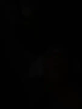 wellingtonmds online show from 7, 2, 2026