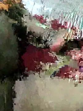 Snapshot of sexy_6hvhhh chatting on 26, 10, 2025 sexy 6hvhhh online show from 26, 10, 2025