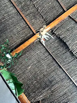 gitanoMad online show from 3, 4, 2026