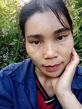 Bear bear0 online show from 14, 11, 2025