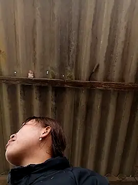 sowbibi online show from 8, 2, 2026